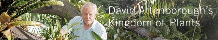 David Attenborough: Kingdom of Plants